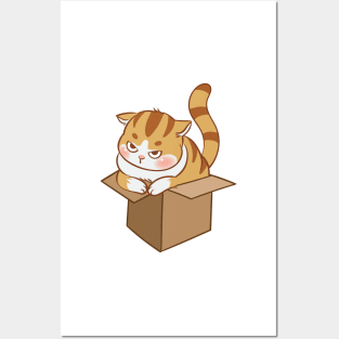 Orange cat in the box Posters and Art